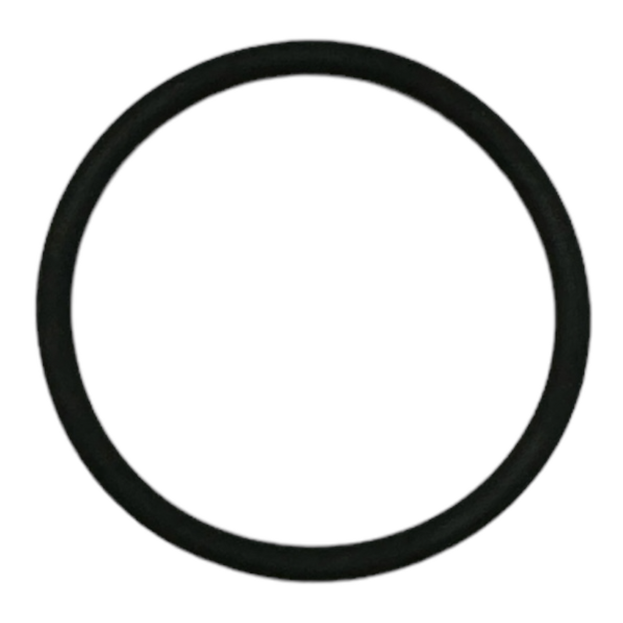 Viton Gasket GV110HP