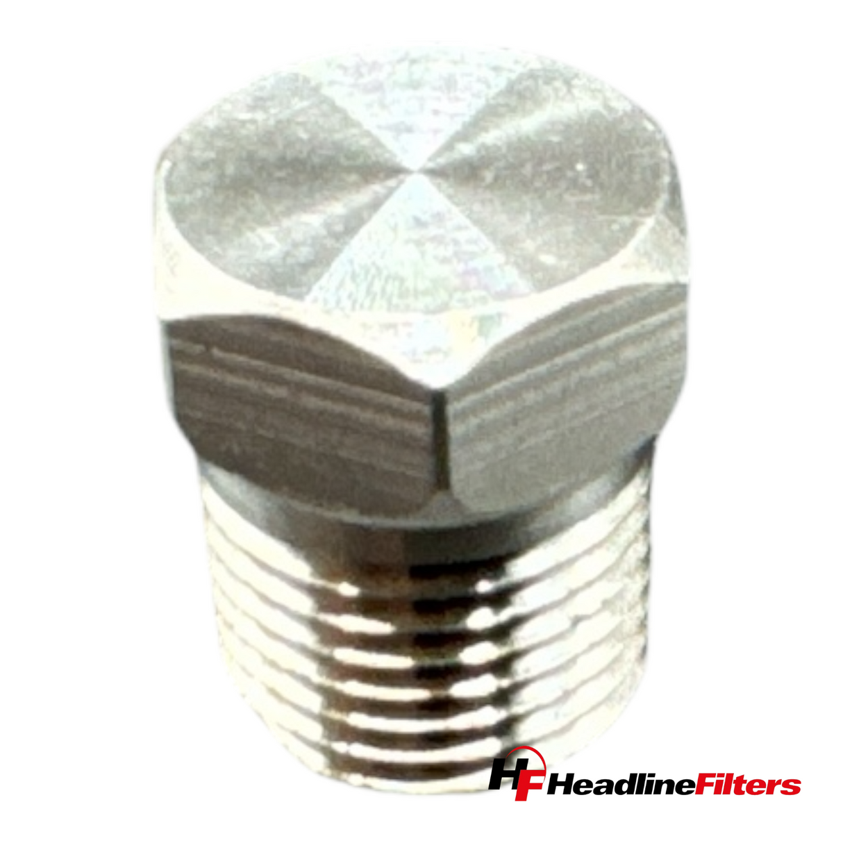 1/8" NPT Male 316L Stainless Steel Plug